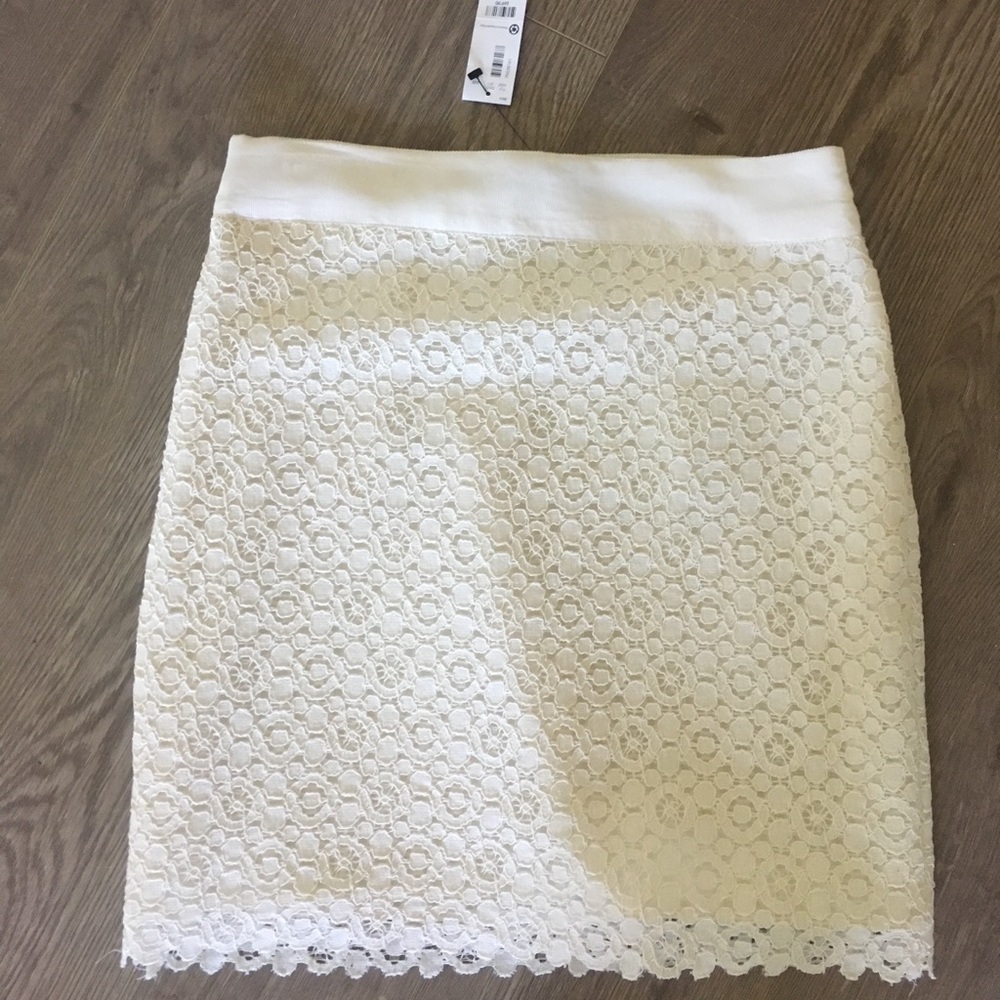 Lace pencil Skirt NWT